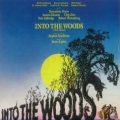 《拜访森林》（Into the woods） Write A Review