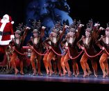 《无线电城圣诞奇观秀》(Christmas Spectacular Starring the Radio City Rockettes)